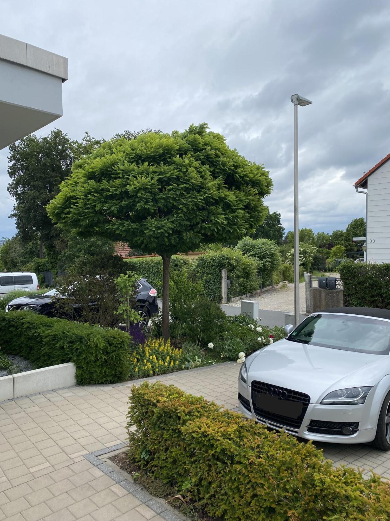 Hotel Atrium Garni